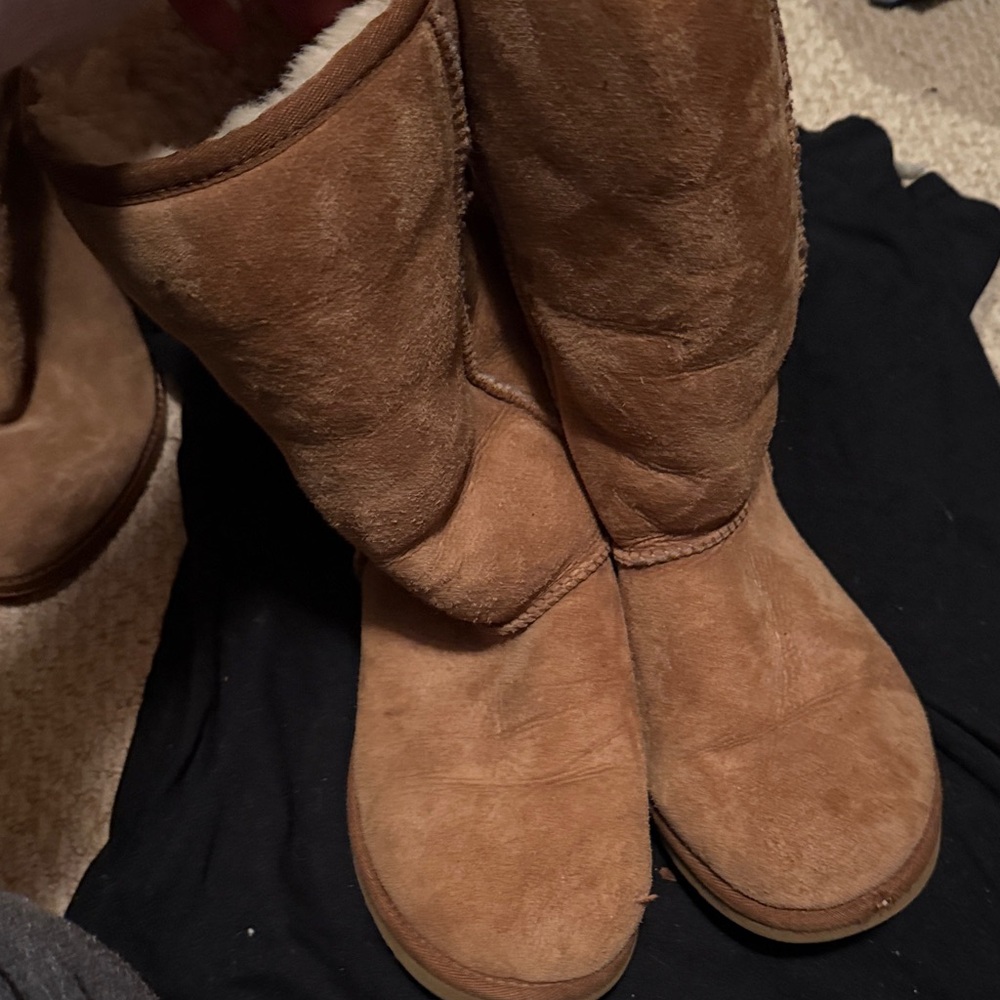UGG Chestnut Winter Boots